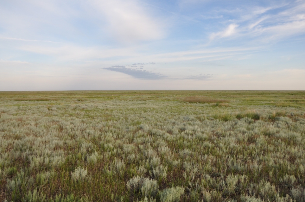 Learn the Steppe through Me and Learn Me through the Steppe (J. Nasunov)